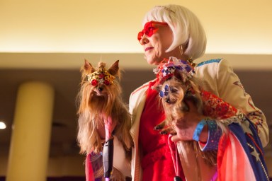 NY’s biggest Pet Fashion Show brings Broadway style to the runway