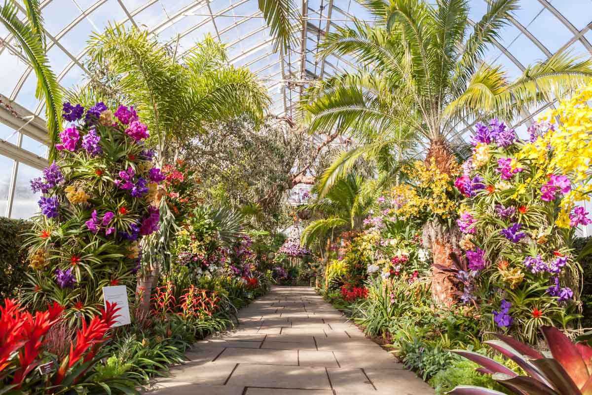 PHOTOS: The 2017 Orchid Show brings a Thai garden to the Bronx – Metro US