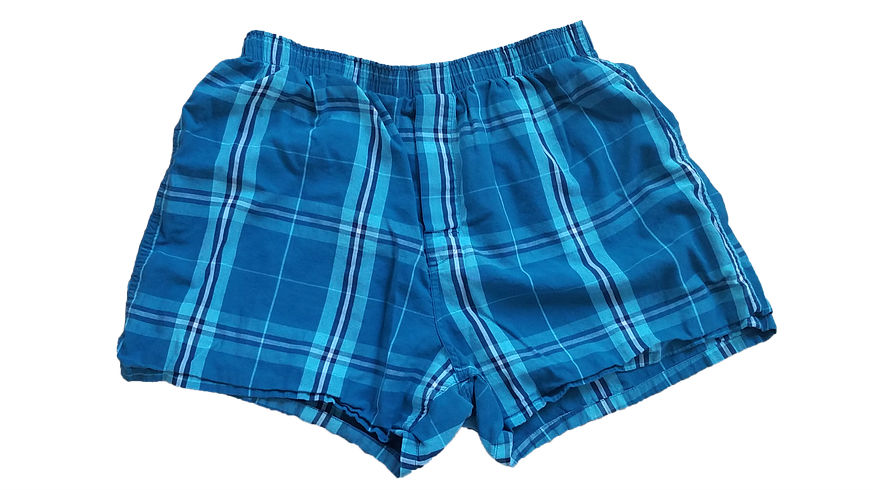 Boxers vs briefs? Harvard study says yes, underwear affects your