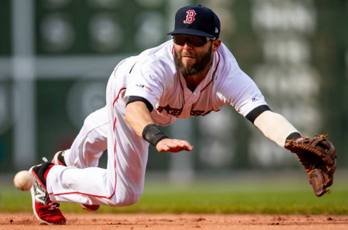 dustin pedroia