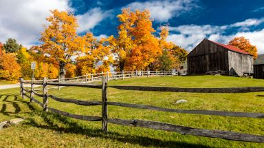 Vermont’s sugar maples should reach their peak in early October. Credit: Joe Sohm, Visions  of America/UIG