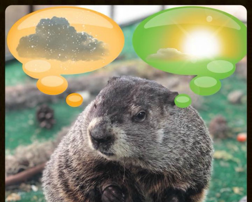 What happens if the groundhog sees his shadow? Metro US