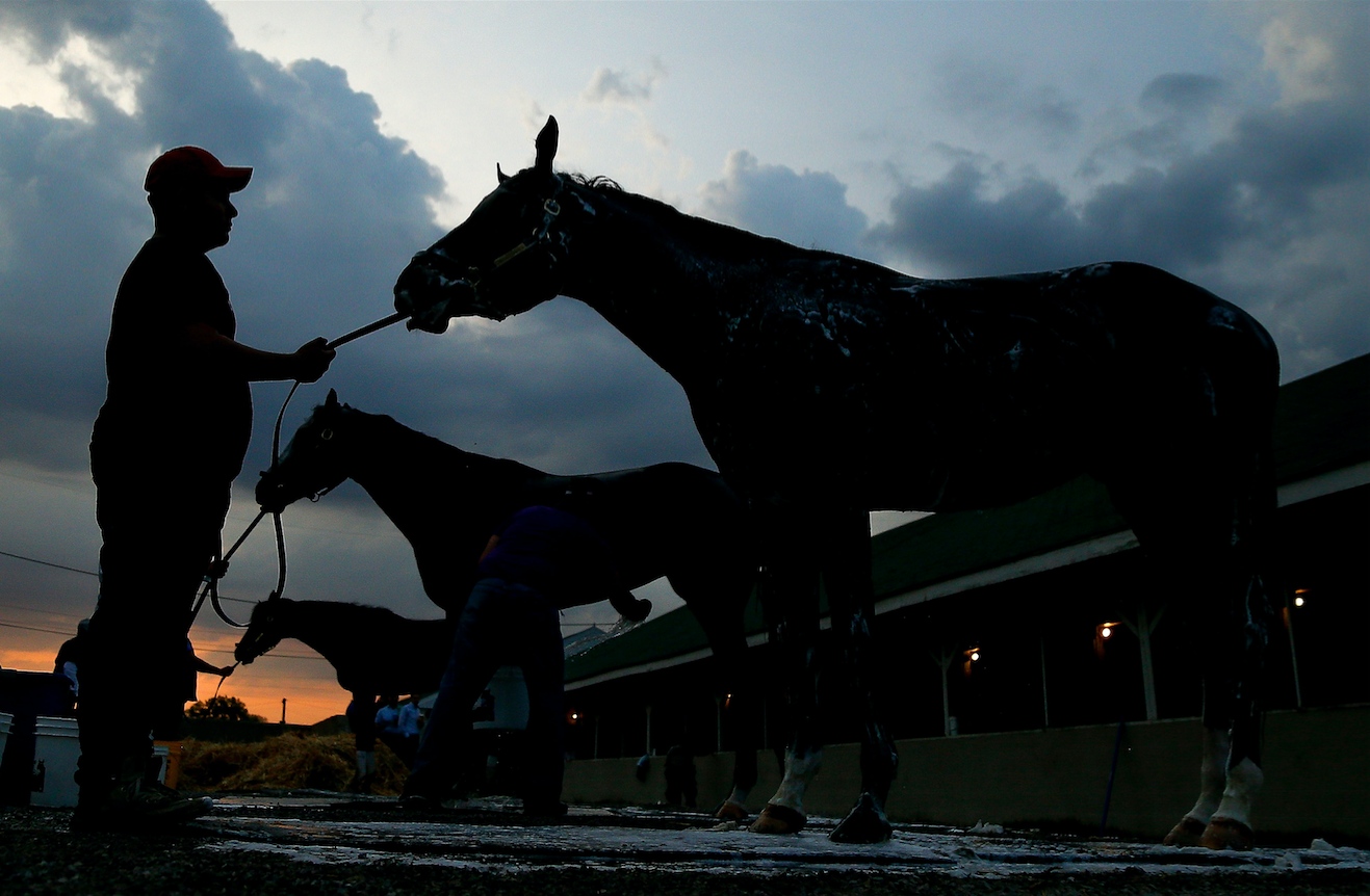 How do you bet gamble on horse racing Kentucky Derby Preakness? Metro US