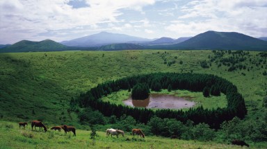 You’ll find tropical lushness and volcanic landscapes on Jeju Island. Credit: Korean Culture and Information Service