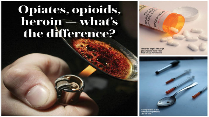 Opiates, Opioids, Heroin — What’s The Difference? – Metro US