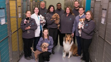 It's always National Dog Day at The Ark at JFK.