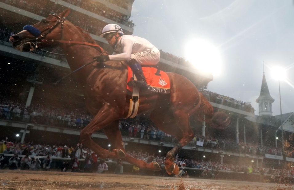 Best Rated Online Horse Race Betting Sites