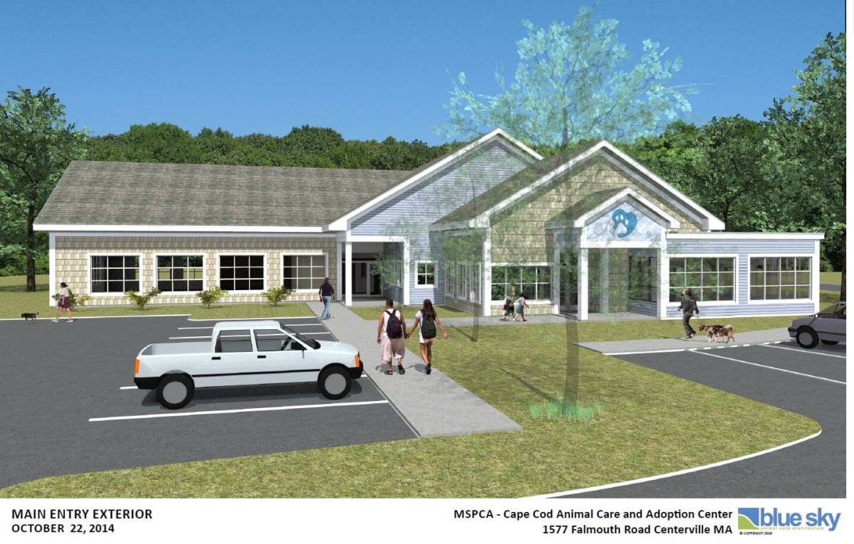 MSPCA to build $5 million Cape Cod animal shelter