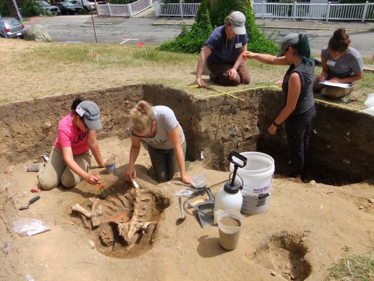 artifacts-found-from-1620-pilgrim-settlement-in-plymouth-represent-landmark-discovery-metro-us