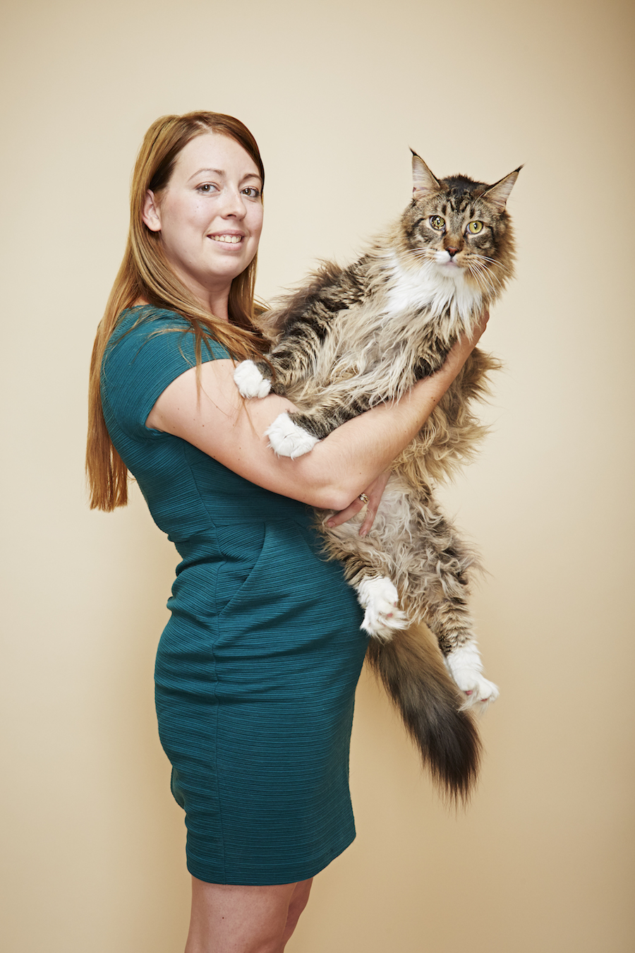 Celebrate National Cat Day with the world’s longest domestic cat and ...