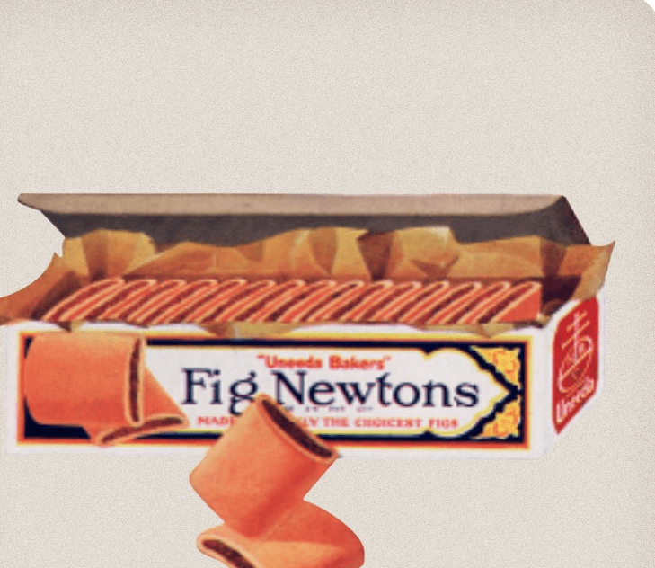 fig newton pillow