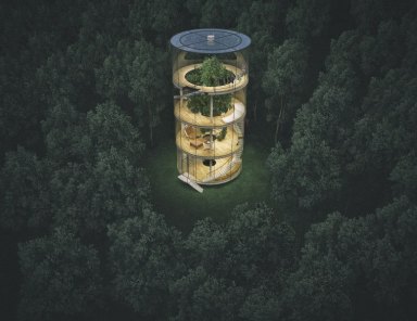 PHOTOS: Architect designs modern tree house