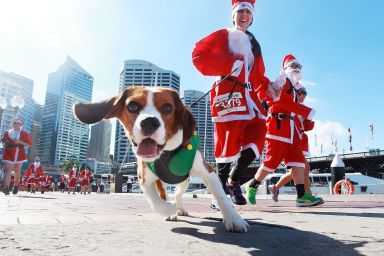 Gallery: Santa Runs around the world