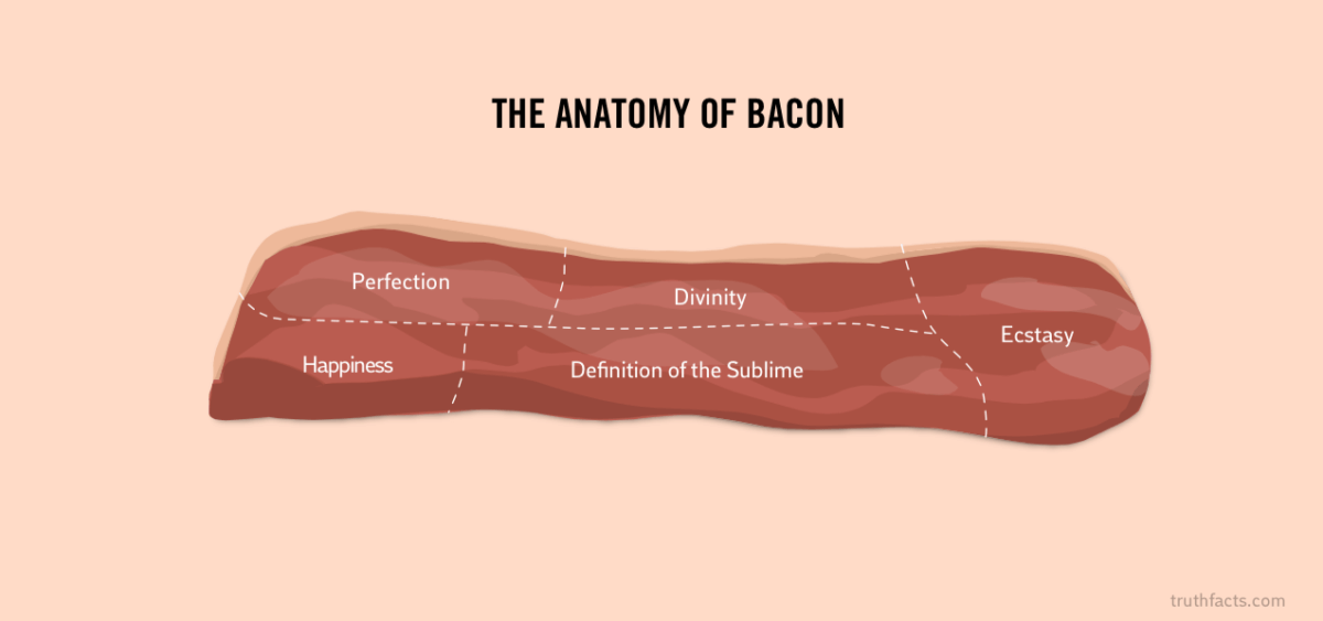 francis bacon anatomy of an enigma