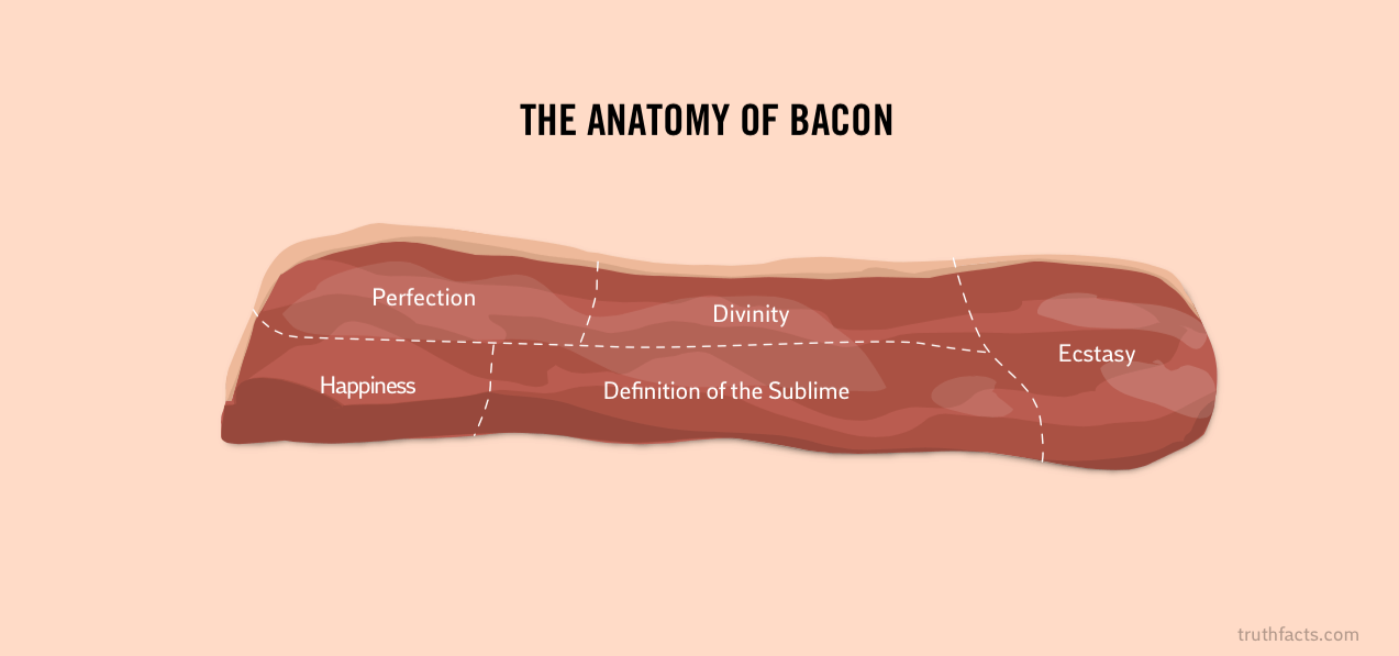 BACON definition and meaning