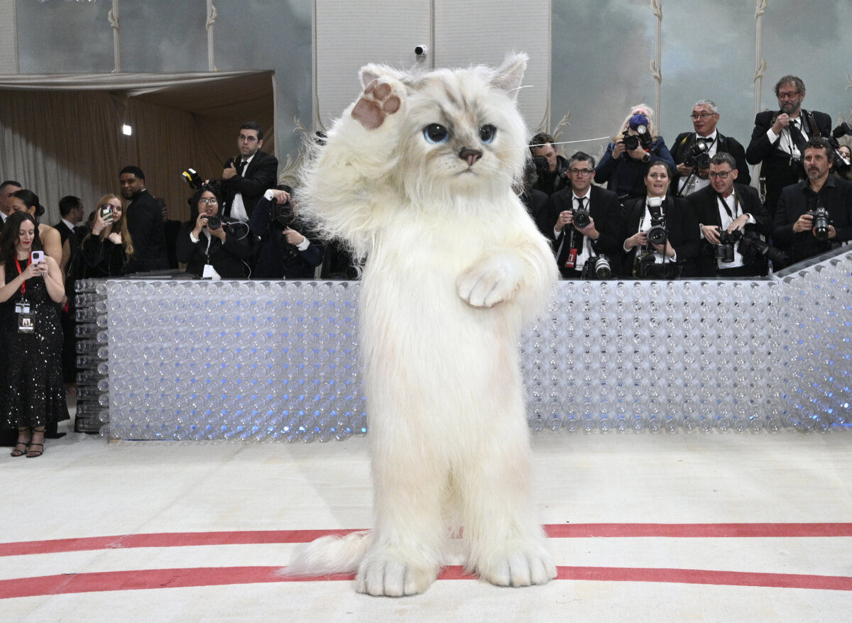 Inside the Met Gala: A furry feline star, a tardy Cinderella – Metro US