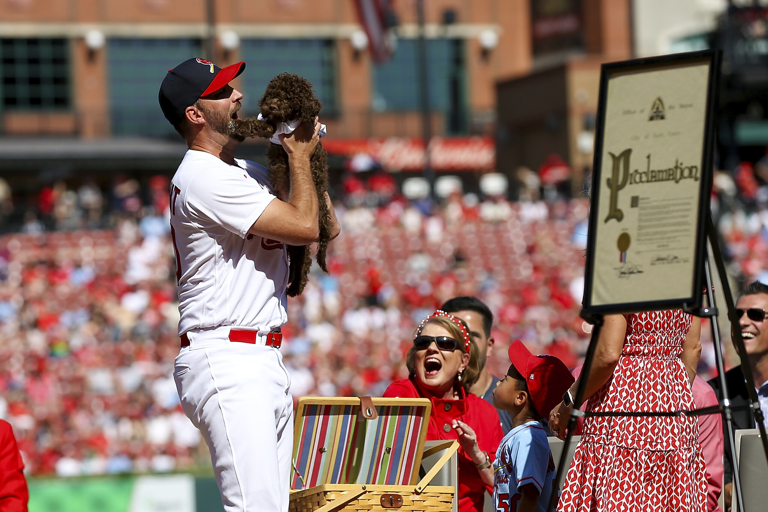 Cardinals Return With a New Appreciation for a Fragile Season - The New  York Times