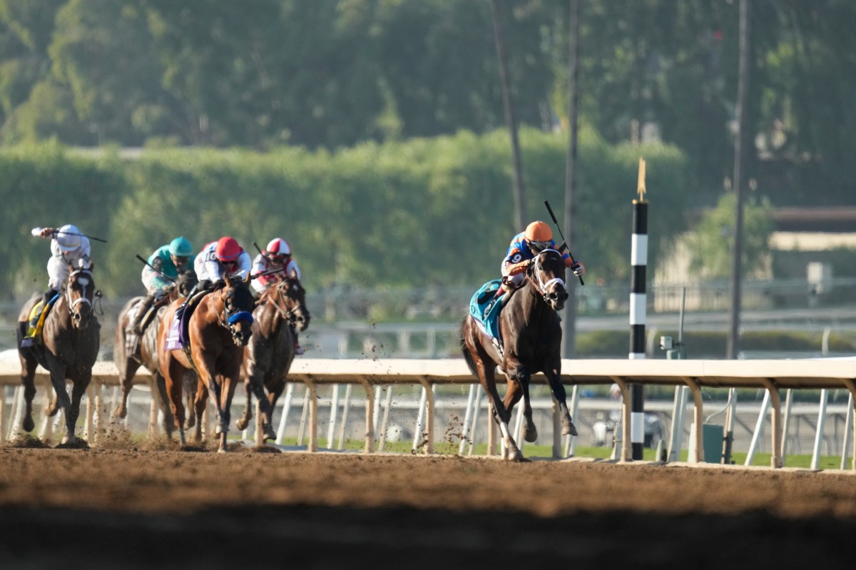 Breeders Cup Juvenile Horse Racing