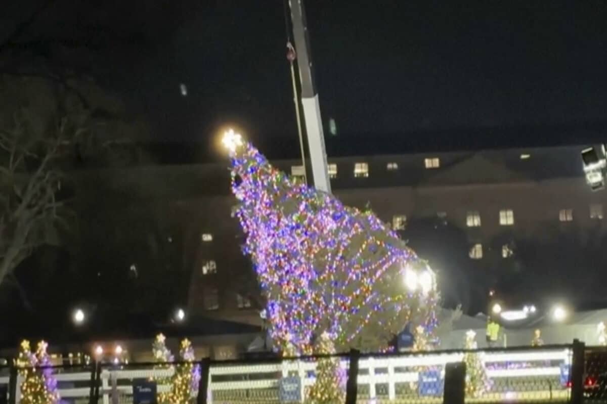 Toppled White House Christmas tree is secured upright, and lighting