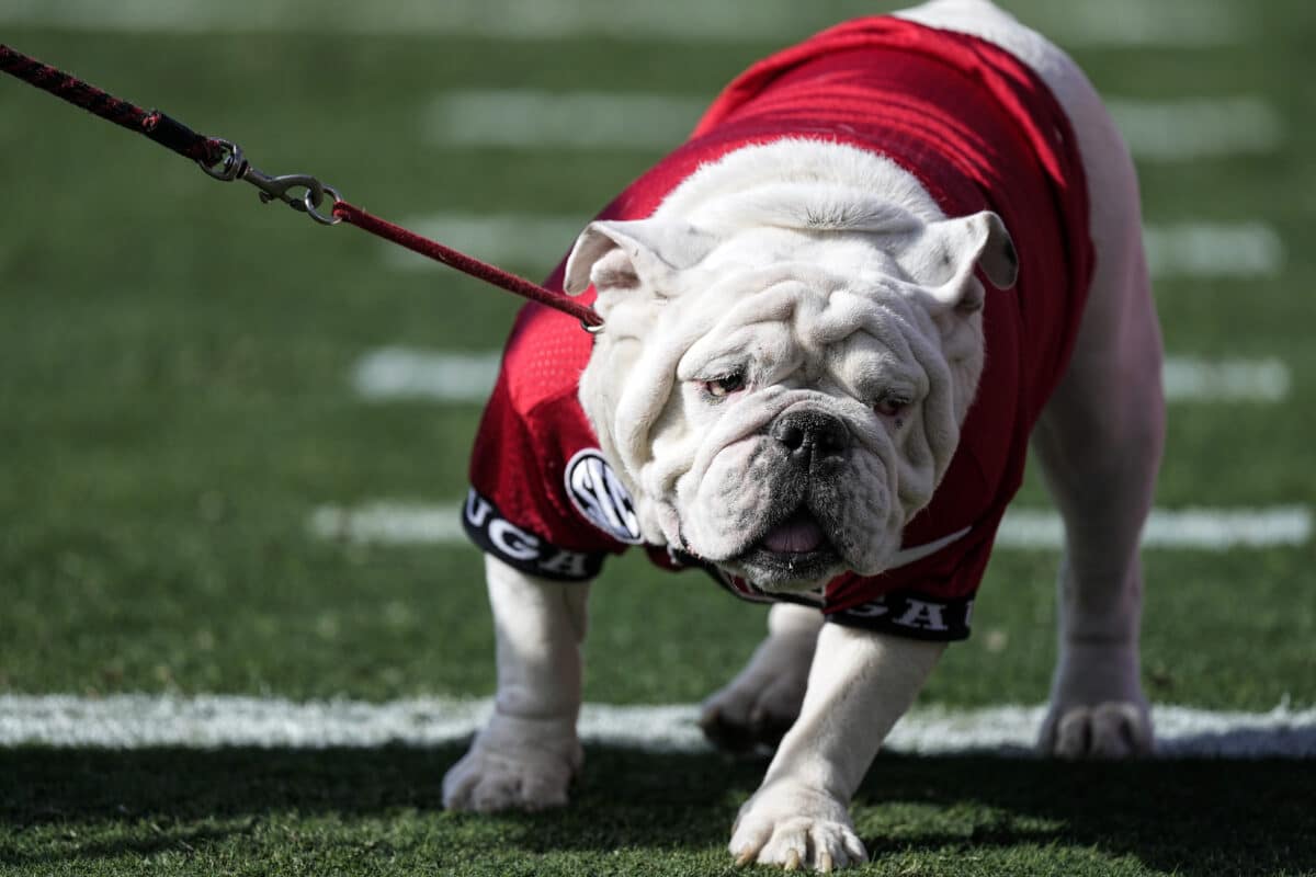 Former Georgia Bulldog Mascot Uga X Dies With 2 National Championships ...