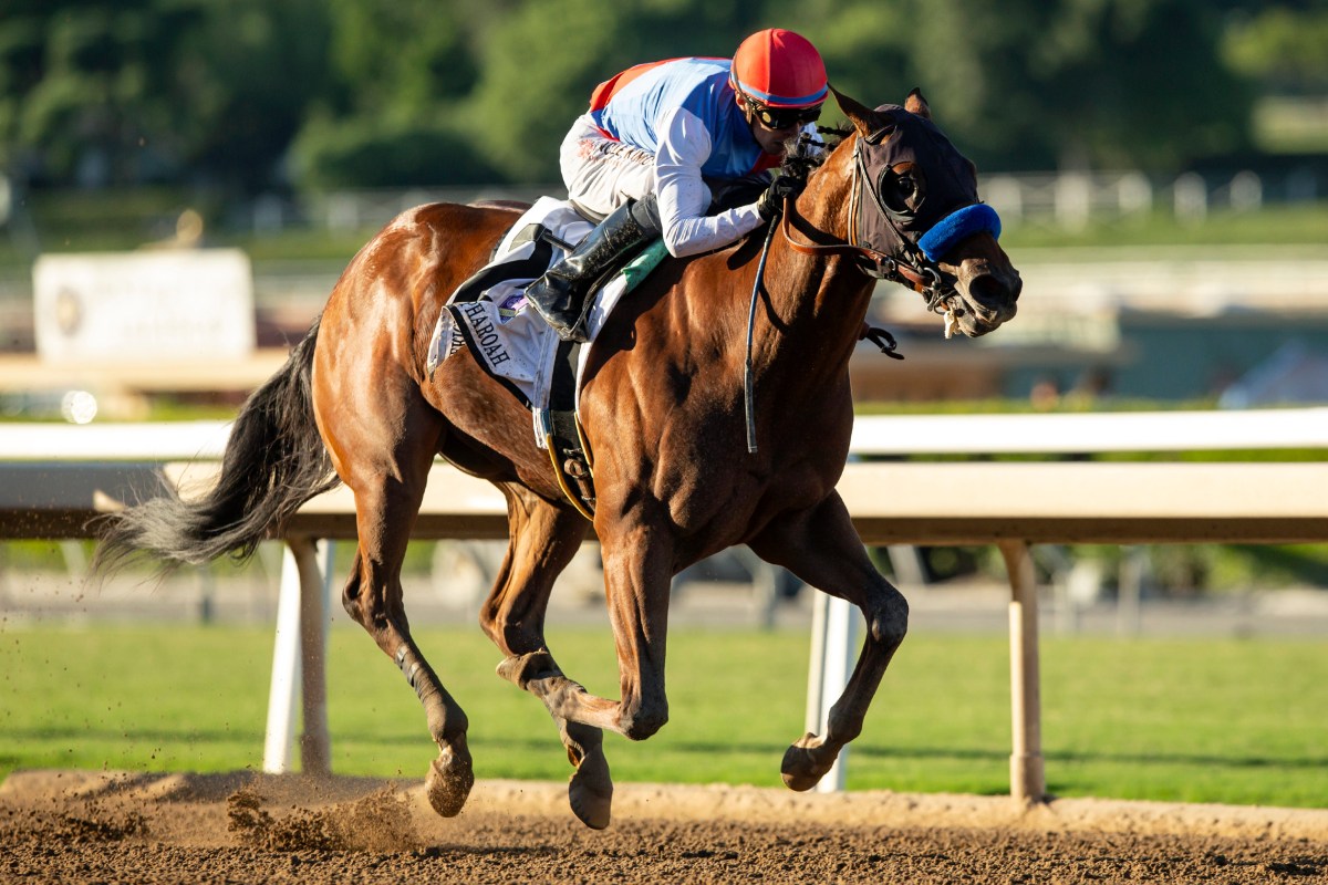 Preakness-Muth Out Horse Racing