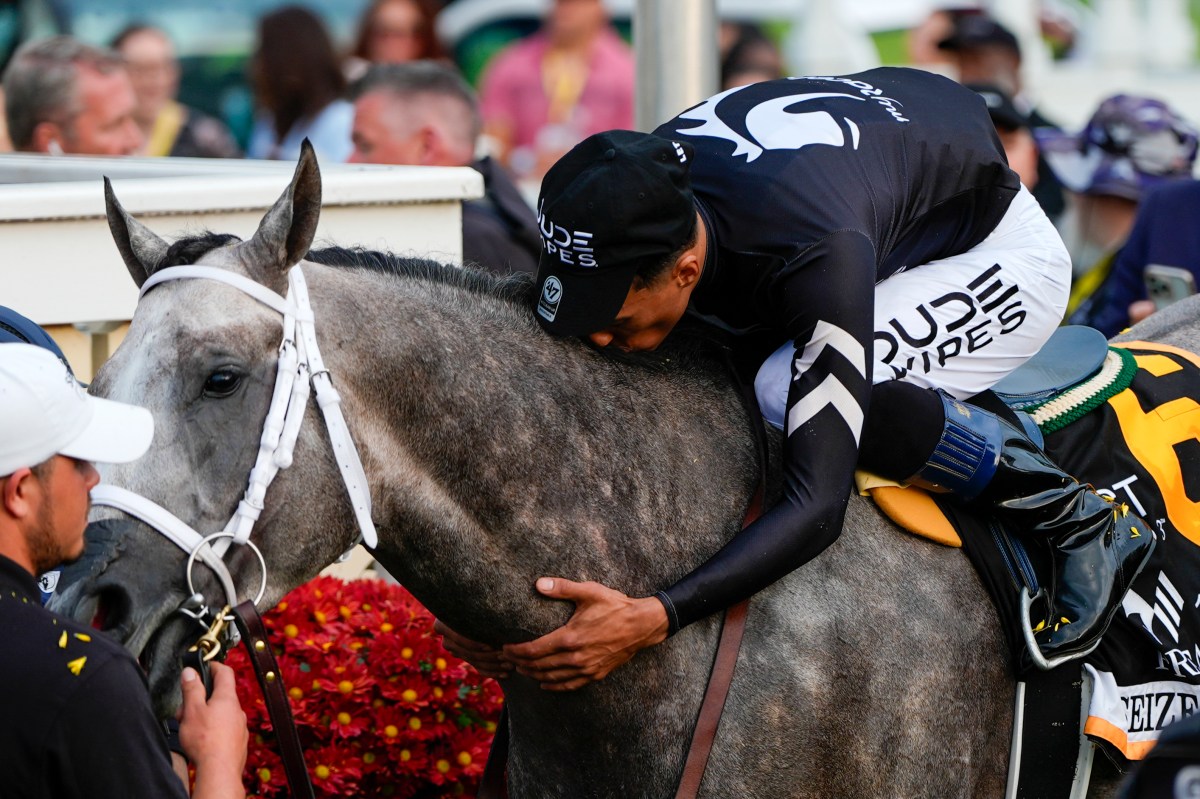 Preakness Horse Racing