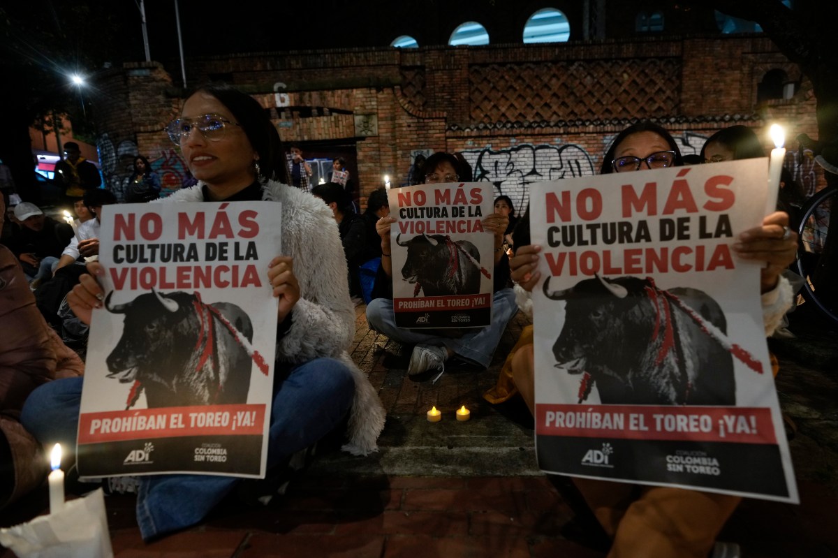 Colombia Bullfighting