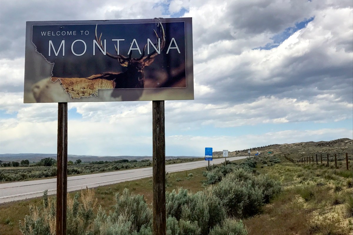 Election 2024 Decision Notes Montana