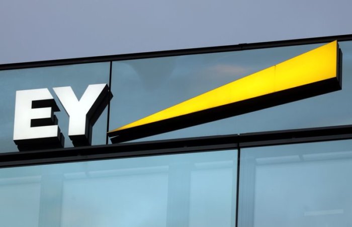 EY Germany head steps down in wake of Wirecard scandal – Metro US